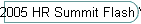 2005 HR Summit Flash Version